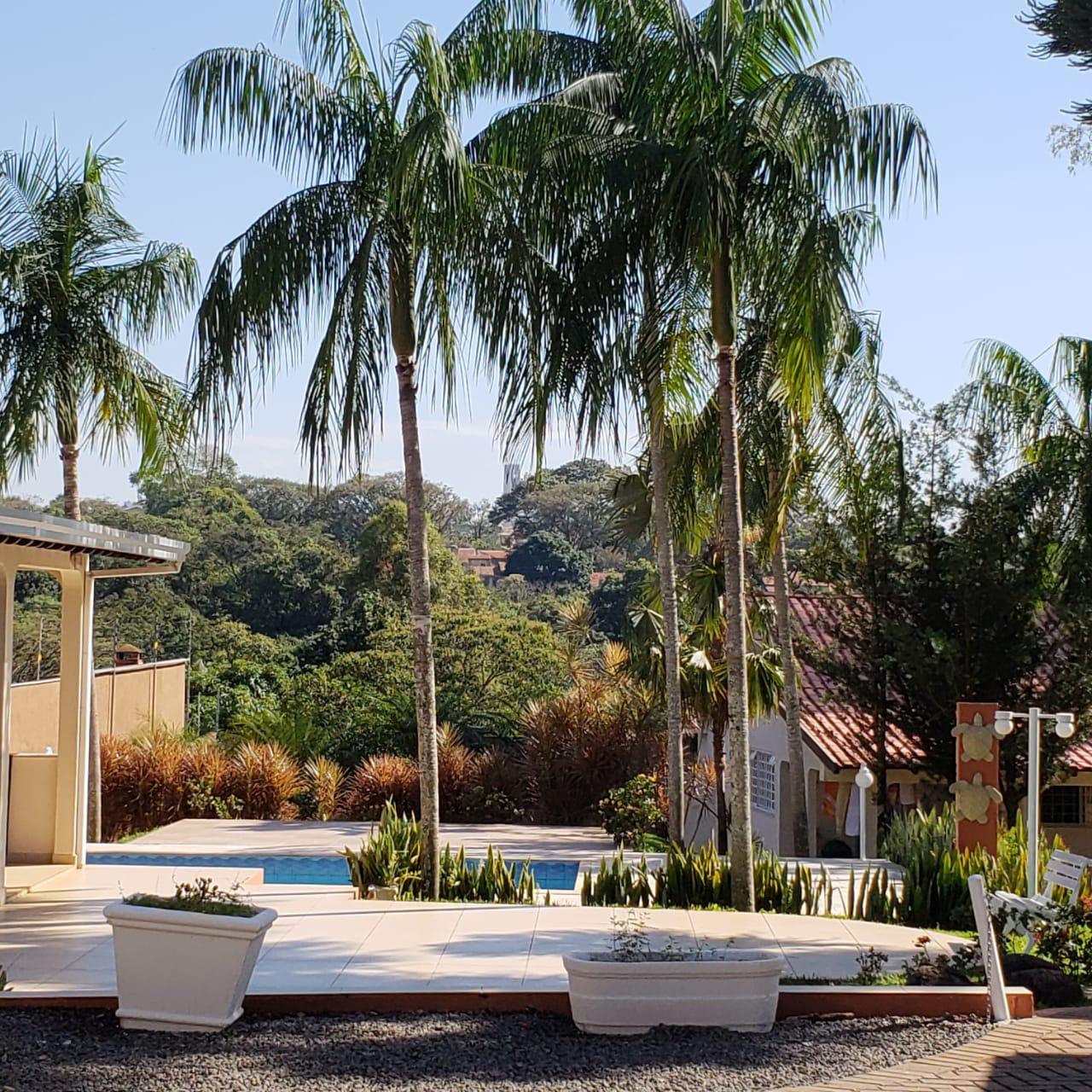 Chácara Nova - Foto 5 de 9